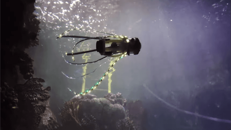 Ingenieros desarrollaron un «calamar robot» que se impulsa con chorros de agua