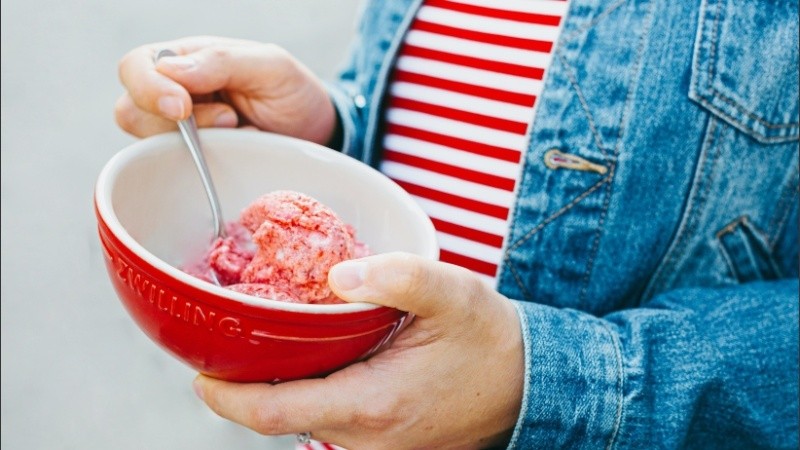 Helado vegano: Tips para fabricarlo en casa