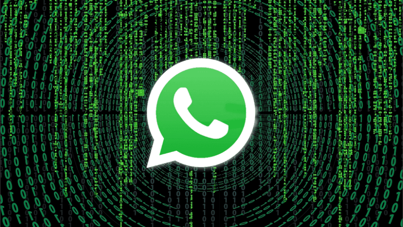 Falla de seguridad en WhatsApp: alertan sobre una «imagen maliciosa» que afecta el funcionamiento del teléfono