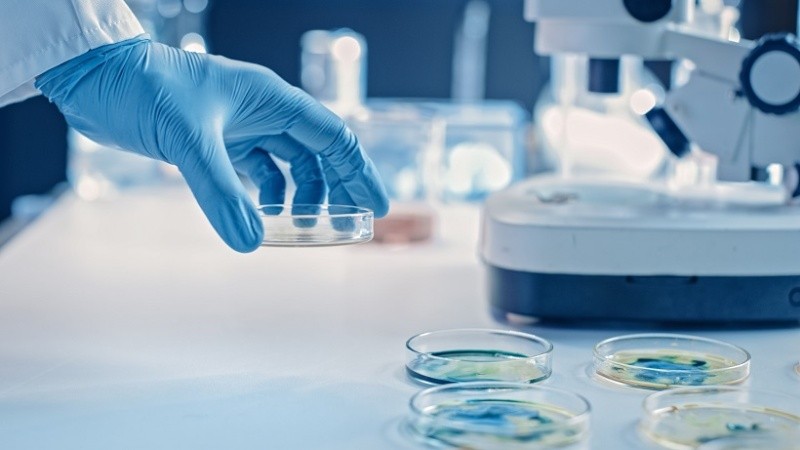 Una startup argentina llega a Nueva York y avanza en el desarrollo de terapias contra el cáncer