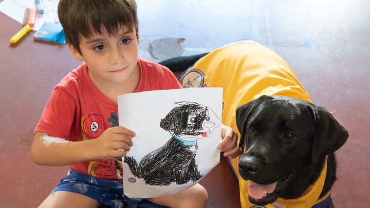 Por primera vez usan terapia asistida con perros para pacientes internados en el Garrahan