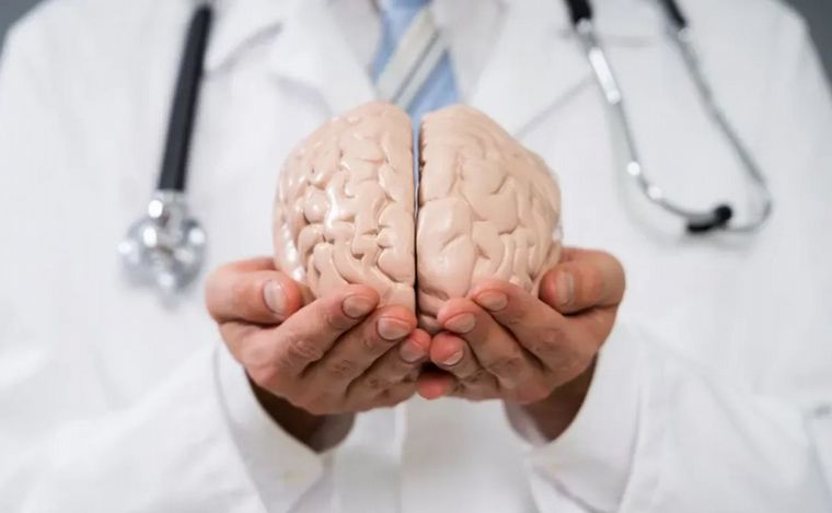Día Mundial del Cerebro: 7 tips indispensables para mantenerlo sano