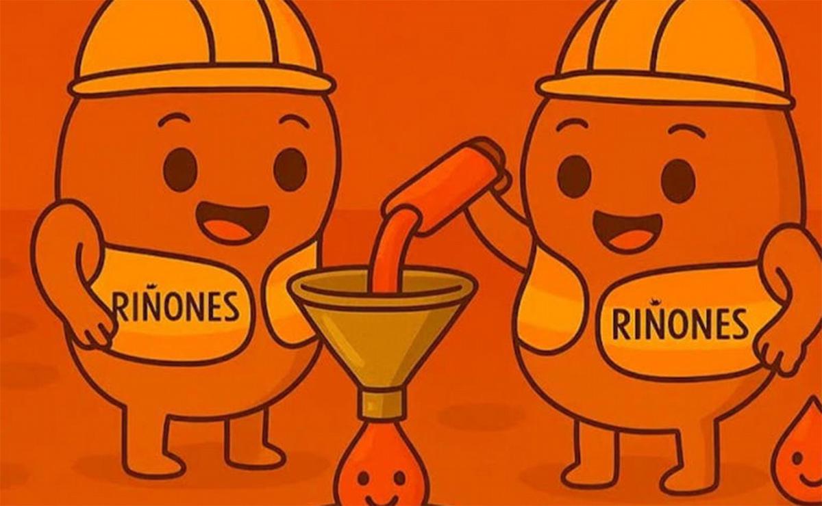 Furor viral por los ‘hermanos riñones’: «Llegó mejor que una consulta médica»