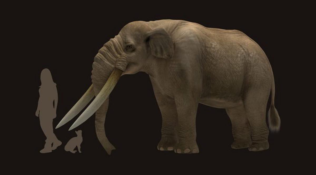 Un estudio del CONICET revela que los primeros pobladores de América eran cazadores de megafauna