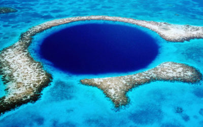 Increíbles descubrimientos en «el gran agujero azul» del Caribe