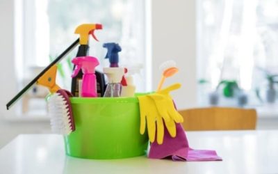 Influencer cleanliness: nueva tendencia en la red social