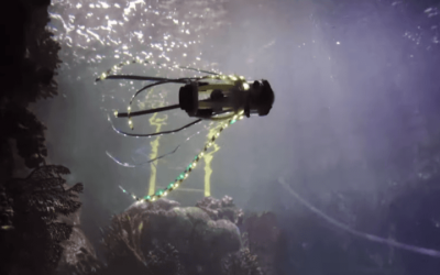 Ingenieros desarrollaron un «calamar robot» que se impulsa con chorros de agua