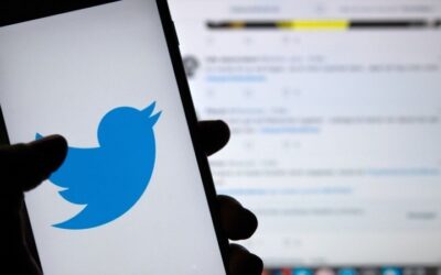 Así sería Twitter Blue, la versión paga de la red social que permitirá deshacer tuits o coleccionarlos
