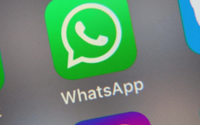 Nueva función en WhatsApp: se podrán convertir fotos en stickers en tan solo un paso