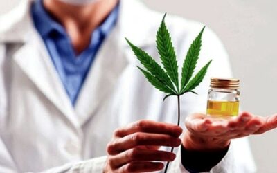 Argentina avanza en la actualización del programa sobre cannabis medicinal
