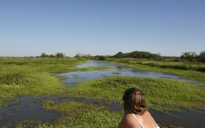 Las propuestas de «Ciudad Humedal. El paisaje de nosotros»