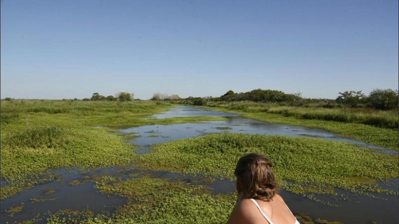 Las propuestas de «Ciudad Humedal. El paisaje de nosotros»