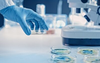 Una startup argentina llega a Nueva York y avanza en el desarrollo de terapias contra el cáncer