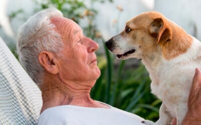 Adultos con perro tienen menos probabilidad de desarrollar una discapacidad
