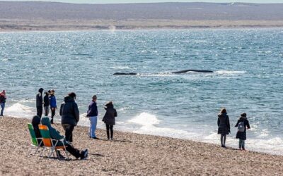 Eligieron a una playa argentina como una de las 100 mejores del mundo