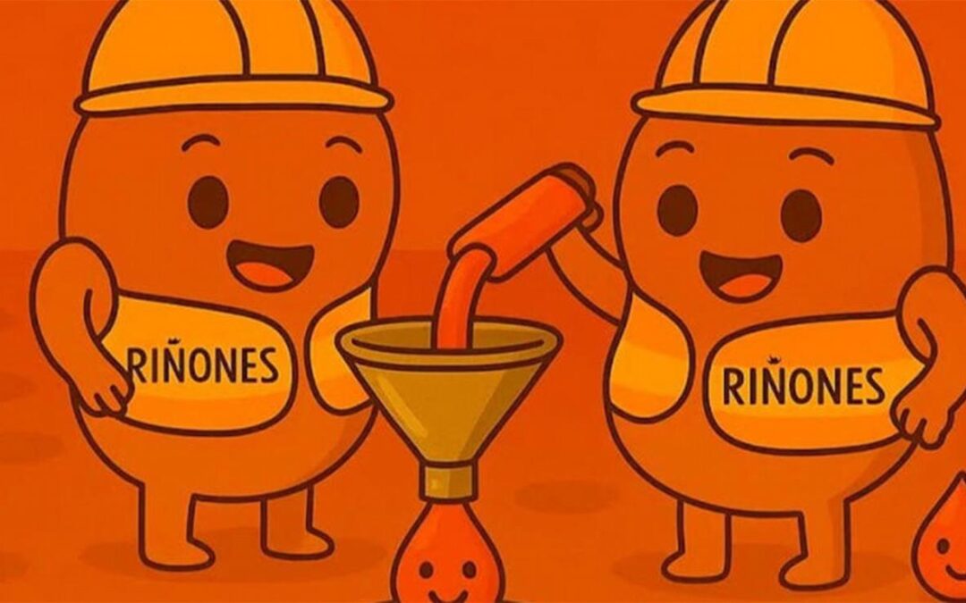 Furor viral por los ‘hermanos riñones’: «Llegó mejor que una consulta médica»